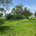 0 Maple Street  Toluca IL 61369