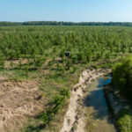 Tract 5 East Radio Tower Road  Clay City IL 62824