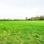 225 Westfield Way  Barrington Hills IL 60010