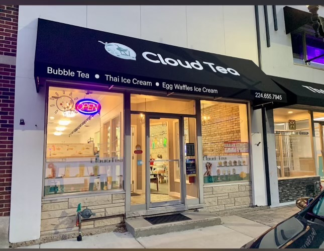 113 Cook Street  Barrington IL 60010