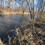 10735 E 1700 N 10735 E 1700 N Road  Pontiac IL 61764