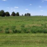 17402 Wildflower Circle  Union IL 60180