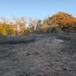 510 Grove Street  Farmer City IL 61842