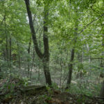 4820 Kopper Pond Road  Hanover IL 61041