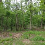 Lot4 Wisconsin Parkway  Delavan WI 53115