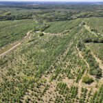 Tract 4 Mayflower Road  Clay City IL 62824