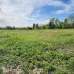 1999 Silver Cross Boulevard  New Lenox IL 60451