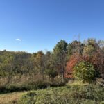 2110 60th Street  Monmouth IL 61462