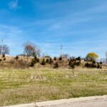 10465 Red Leaf Circle  Lakewood IL 60014