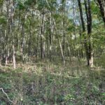 8206 Eakin Grove Road  Benton IL 62812