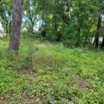 25586 High Street  Wauconda IL 60084
