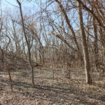 16149 Scenic Court  Wadsworth IL 60083