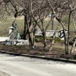 24863 Sterling Oaks Court  Shorewood IL 60404