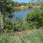 DOR1701G Hungry Hollow Road  Danville IL 61834