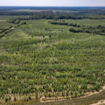 0000 Mayflower Road  Clay City IL 62824