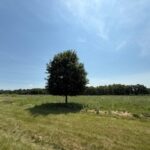 2209 Ann Lane  Woodstock IL 60098