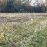 Lot 1 Reckinger Road  Aurora IL 60505