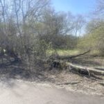 0 Johnson Street  Utica IL 61373