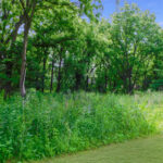 13071 Promontory Trail  Roscoe IL 61073