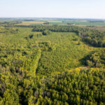 Tract 2 Mint Lane  Clay City IL 62824