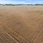 00 Egyptian Trail  Peotone IL 60468