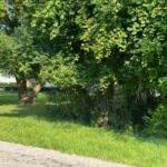 0 Natoma Trail  Algonquin IL 60102