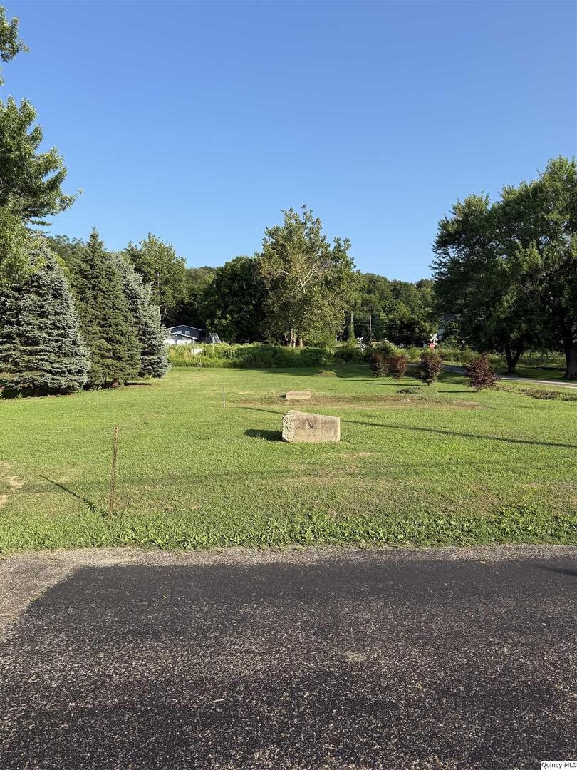 600 1st   Dallas City IL 62330