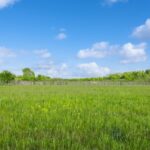 7514 Glacier Lake Way  Richmond IL 60071