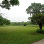 3523 Long Grove Road  Long Grove IL 60047