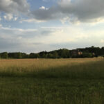 3008 Brickhouses Road  Urbana IL 61802