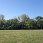 Lot #3 South End Road  Plainfield IL 60544