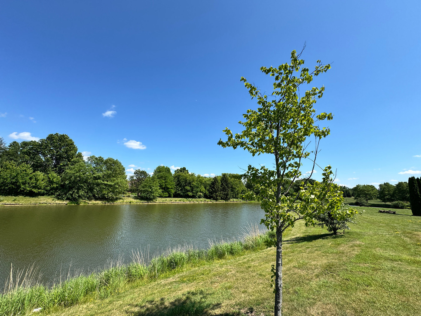 24 Autumn Court  St. Charles IL 60175