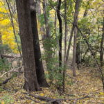 1213 Park Front Street  Joliet IL 60436