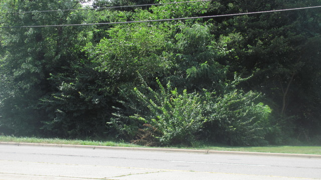 000 Main Street  Lisle IL 60532