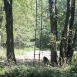 Tract 4 Mayflower Road  Clay City IL 62824