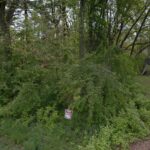 37206 Capillo Avenue  Lake Villa IL 60046