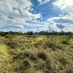 5048 Smokethorn Trail  Belvidere IL 61008