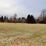 1180 Lakewood Drive  Morris IL 60450