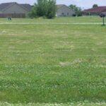 637/639 EFFIE Drive  Earlville IL 60518