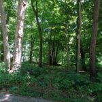 26XX Tuck A Way Trail  Rockford IL 61107