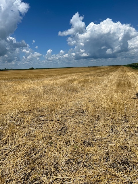 17 ROUTE Road Varna IL 61375