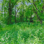 13071 Promontory Trail  Roscoe IL 61073