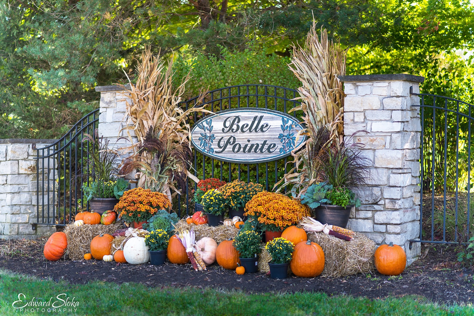 16009 Sara Lane  Union IL 60180