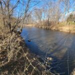 10735 E 1700 N 10735 E 1700 N Road  Pontiac IL 61764