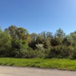 3 Acorn Court  Galena IL 61036