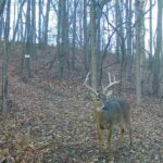 618 Princeton Road  Depue IL 61322