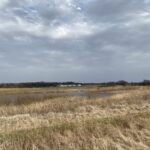 Lots 14-52 Serosun Farms Lane Hampshire IL 60140