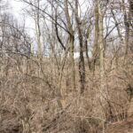 743 Progress Parkway  Lasalle IL 61301