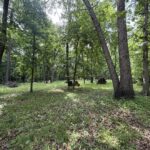 Lot 235 Lake Thunderbird Drive  Tiskilwa IL 61368