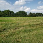 0000 Dayfield Drive  Plainfield IL 60544